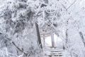 賞雪時(shí)節(jié)已至，漢江源邀您感受白色浪漫！縮略圖