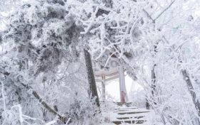 賞雪時(shí)節(jié)已至，漢江源邀您感受白色浪漫！縮略圖