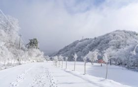 天冷了，吃點(diǎn)啥有助抗寒？縮略圖