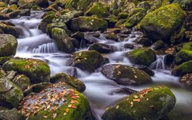 冬日快來(lái)佛坪，體驗(yàn)零霧霾小城大口呼吸的暢快！縮略圖