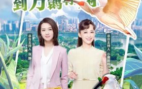 從瀕臨滅絕到種群壯大，朱鹮保護是怎樣創(chuàng)造奇跡的？縮略圖