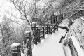 冷?冷?冷?，最低零下 6 ℃ ，漢臺(tái)迎來(lái)新一輪降溫降雪，詳情→縮略圖