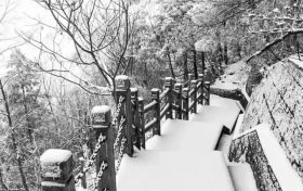 冷?冷?冷?，最低零下 6 ℃ ，漢臺迎來新一輪降溫降雪，詳情→縮略圖