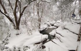 受冷空氣影響未來三天陜西晴冷控場 最低氣溫持續(xù)偏低縮略圖