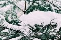 漢中，下雪啦！縮略圖