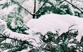 漢中，下雪啦！縮略圖