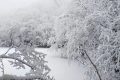 局地積雪可達10cm！冰雪路面如何安全行車？縮略圖