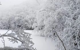 局地積雪可達10cm！冰雪路面如何安全行車？縮略圖