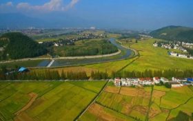 陜西省濕地保護成效顯著 彩鹮、桃花水母在陜均有發(fā)現(xiàn)縮略圖