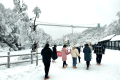 太美啦！漢江源景區(qū)下雪啦！滑雪場也即將開放！縮略圖