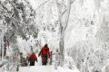 【鬧元宵·賞雪景】一起去漢江源看雪吧！縮略圖