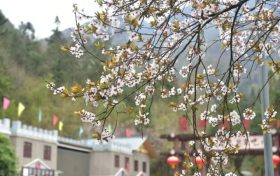 漢江源云海索道年檢，3月27日起索道臨時(shí)停運(yùn)縮略圖