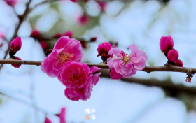 南鄭公路段提前預警避免道路安全事故發(fā)生縮略圖