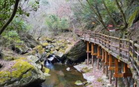 好消息！漢臺一景區(qū)恢復開園，3月8日女士免費→縮略圖