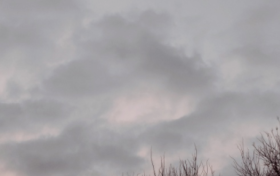 倒春寒來了嗎？最新消息縮略圖