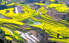 不負(fù)好春光！寧強(qiáng)這4條春季旅游線路快收藏！縮略圖