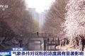 氣象條件對花粉濃度有哪些影響？花粉季要注意什么？專家解答縮略圖