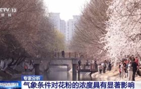 氣象條件對花粉濃度有哪些影響？花粉季要注意什么？專家解答縮略圖