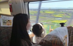 坐著高鐵穿花海！這趟列車太“治愈”了！縮略圖