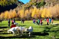 留壩入選“五一”最美鄉(xiāng)村旅游目的地！縮略圖