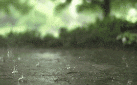 受短波槽東移影響，16-17日我省中南部有降水天氣??縮略圖