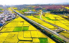 坐上高鐵去漢中，共赴一場(chǎng)浪漫之旅！縮略圖