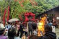 抓住假期的尾巴，來漢中這里不負(fù)千里迢迢的旅程！縮略圖