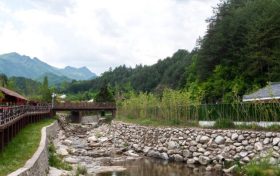 漢中洋縣：“加快綠色轉(zhuǎn)型”推動(dòng)三產(chǎn)融合發(fā)展縮略圖