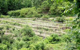 強(qiáng)對流藍(lán)色預(yù)警！漢中這些地方請注意→縮略圖