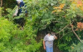 行人為走捷徑欲橫穿高速，漢中高速交警及時勸離縮略圖