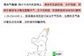 強(qiáng)降雨天氣持續(xù)！局地大到暴雨！這些一定要做到→縮略圖