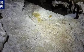 國內(nèi)罕見！陜西漢中發(fā)現(xiàn)完整度較高的大熊貓化石縮略圖