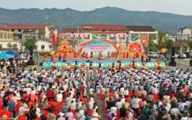 【城固有約】柑桔飄香，又是一年好“豐”景縮略圖