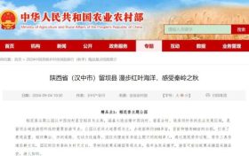 農業(yè)農村部推介！留壩獲評2024中國美麗鄉(xiāng)村休閑旅游行（秋季）精品景點線路縮略圖