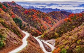 秋日濃度播報(bào)！漢中絕美紅葉打卡點(diǎn)位看這里→縮略圖