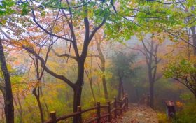 7日6時(shí)20分立冬：昨夜清霜冷絮裯，紛紛紅葉滿階頭縮略圖
