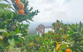 爭做文明游客，不負(fù)城固美景！縮略圖