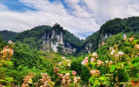 漢中黎坪景區(qū)冬日暫別，相約2025年春之盛景縮略圖