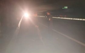 有“警”無險！老人迷路誤入高速，交警及時救助縮略圖