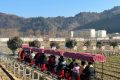開門紅！全縣首輛！鱘游佛坪“熊貓?zhí)枴毙』疖囌竭\行→縮略圖