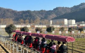 開門紅！全縣首輛！鱘游佛坪“熊貓?zhí)枴毙』疖囌竭\(yùn)行→縮略圖