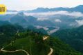 鎮(zhèn)巴楮溪源：山川之美創(chuàng)4A，茶旅融合新畫(huà)卷縮略圖