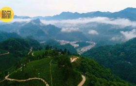 鎮(zhèn)巴楮溪源：山川之美創(chuàng)4A，茶旅融合新畫卷縮略圖