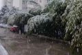 明顯降溫！陜西新一波雨雪即將到來縮略圖