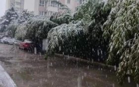 明顯降溫！陜西新一波雨雪即將到來縮略圖