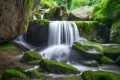 尋夢油菜花海，探秘漢江之源：三天兩晚奇遇之旅縮略圖