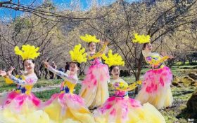 3月22日，王家灣村，茱萸花海踏春游活動來啦！縮略圖