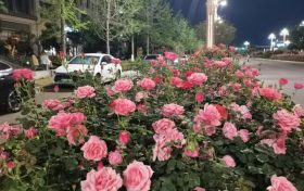 陜西發(fā)布消費提示！警惕“零團費”等不合理低價產(chǎn)品縮略圖