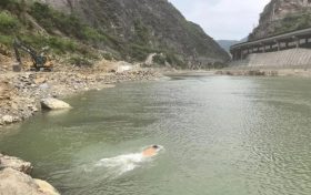 縱身激流顯擔(dān)當(dāng)！略陽公安民警以身為舟托起生命希望縮略圖