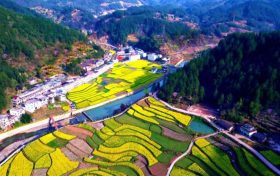鎮(zhèn)巴簡池鎮(zhèn)李塘村：春日河畔花海，宛如水墨仙境縮略圖